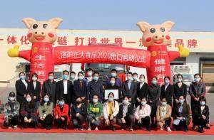 洛陽正大出口香港産品順利通關！