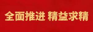 履踐緻遠向未來 | 洛陽正大精英特訓營“磐石計劃”精益生産項目召開複盤追蹤會