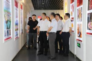 國辦秘書四局副局長管晉華莅臨洛陽正大食品調研